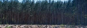 [DROIT PUBLIC DES AFFAIRES] La fin de la déforestation programmée